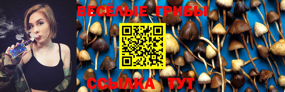 Псилоцибиновые грибы Magic Shrooms  Вход с VPN  Галлюциногенные грибы прущие грибы  Северск 
