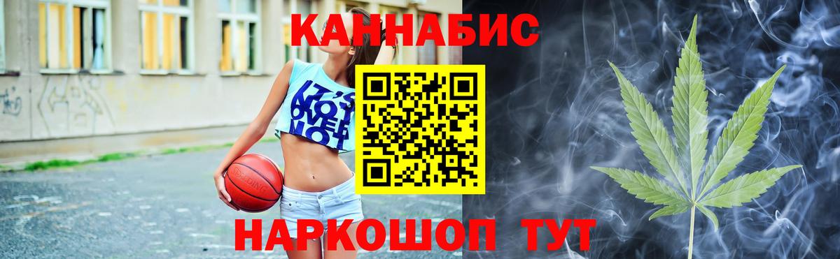 Марихуана сатива Северск